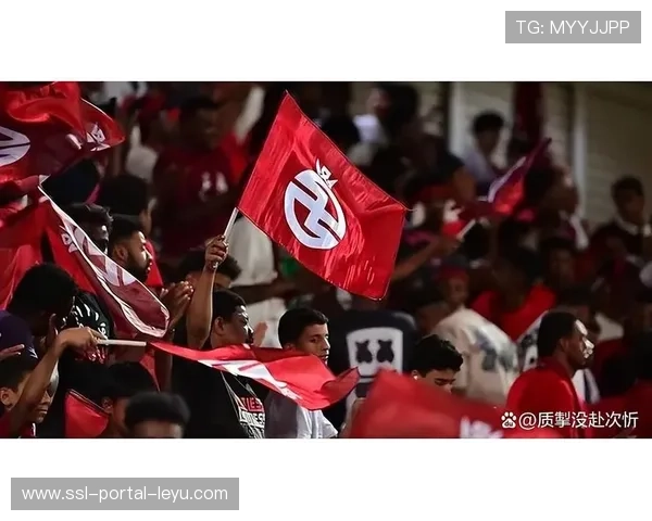 沙特资本关注法甲俱乐部,投资可能性升温 沙特资本关注法甲俱乐部,投资可能性升温